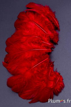 Henne - 5-7 cm - karminrot